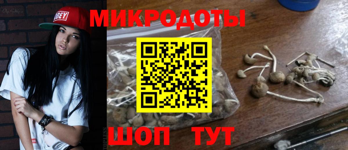 Лабытнанги  Галлюциногенные грибы ЛСД  Вход с VPN 